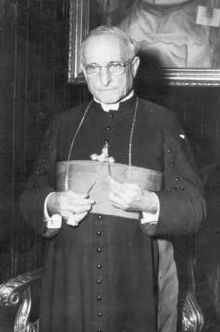 Manuel Cardinal Arteaga y Beta
